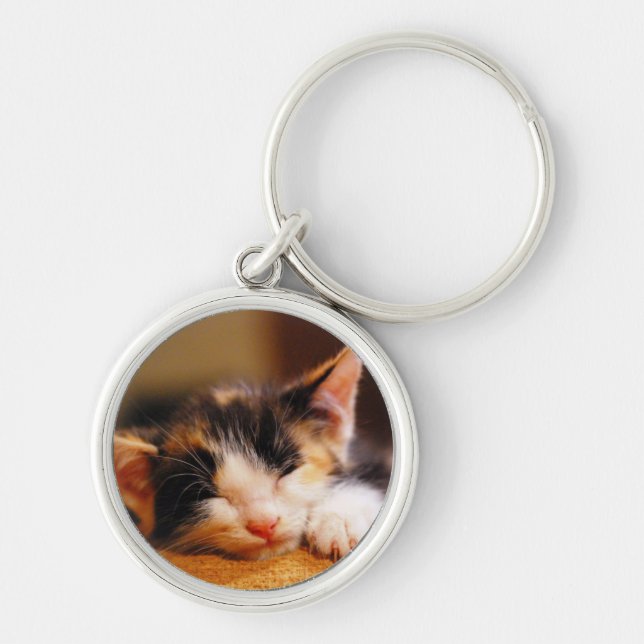 Wenig Miezekatze-Schlafen Schlüsselanhänger (Vorne)