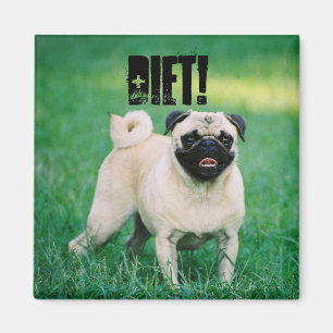 WENIG MOPS ERINNERT SIE, die SIE AUF EINER DIÄT Magnet