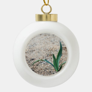 Wenig Pflanze Keramik Kugel-Ornament