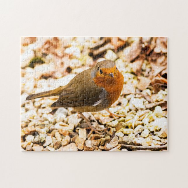 Wenig Robin Redbreast (Horizontal)