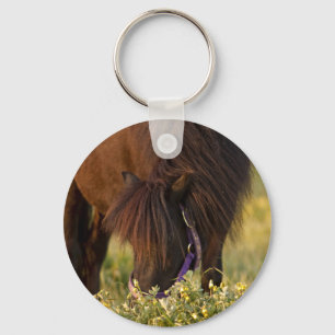 Wenig Sharni die Shetlandinseln Pony Schlüsselanhänger
