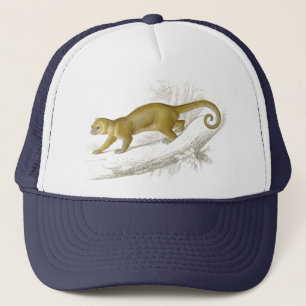 Wenig Vintages Zeichnen des kinkajou Truckerkappe