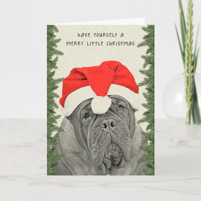 Wenig Weihnachten Dogue de Bordeaux Merry (Vorderseite)