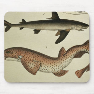 Wenige gepunktete kleine Haie Mousepad