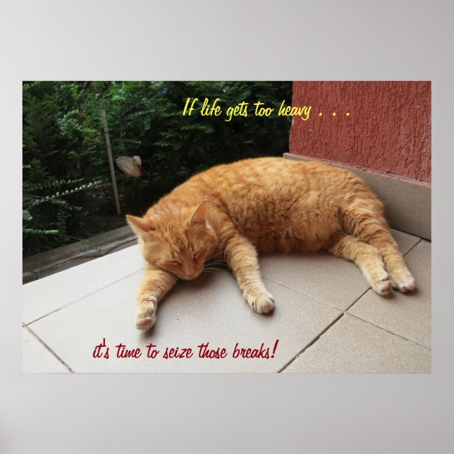 Wenn das Leben zu schwer wird Katze (2) Poster (Vorne)