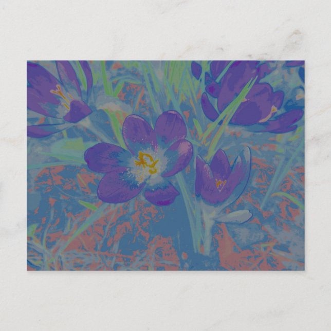 Wenn der Krokus blüht Postkarte (Vorderseite)