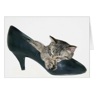 Wenn der Schuh passt