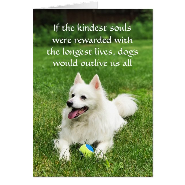 Wenn die Kindest Soule - 5" x 7" Art Card (Vorne)