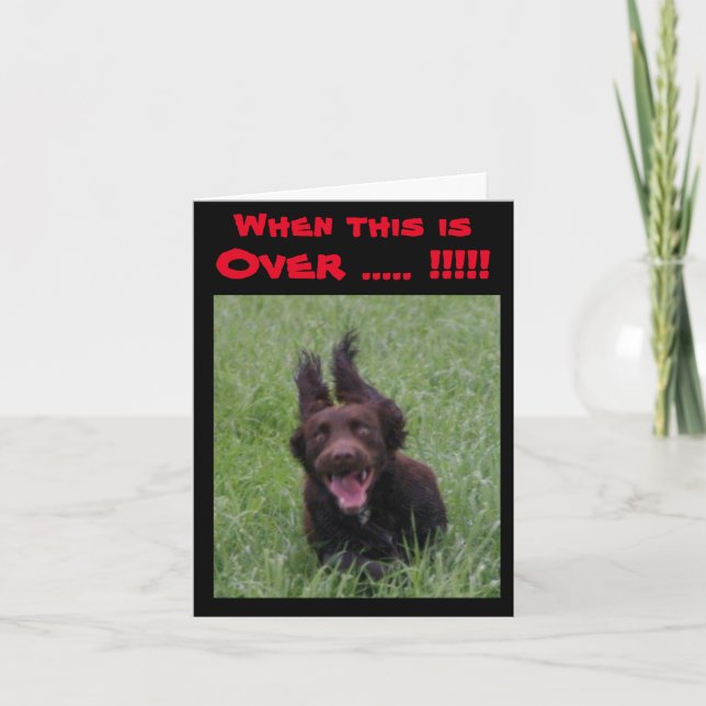 wenn diese Karte mit ekstatischem Hund überstimmt  (Vorderseite)