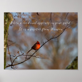 Wenn ein Kardinal erscheint, fotografieren Poster