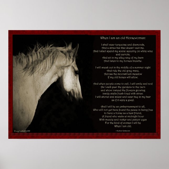 Wenn ich eine alte Horsefrau bin Poster (Vorne)