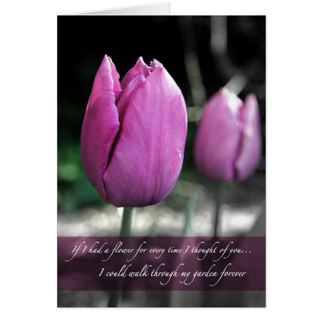 Wenn ich jedes Mal, wenn ich an Sie dachte, eine B (Vorne)