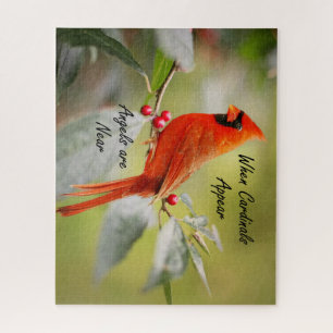 Wenn Kardinäle erscheinen, sind Engel in der Nähe