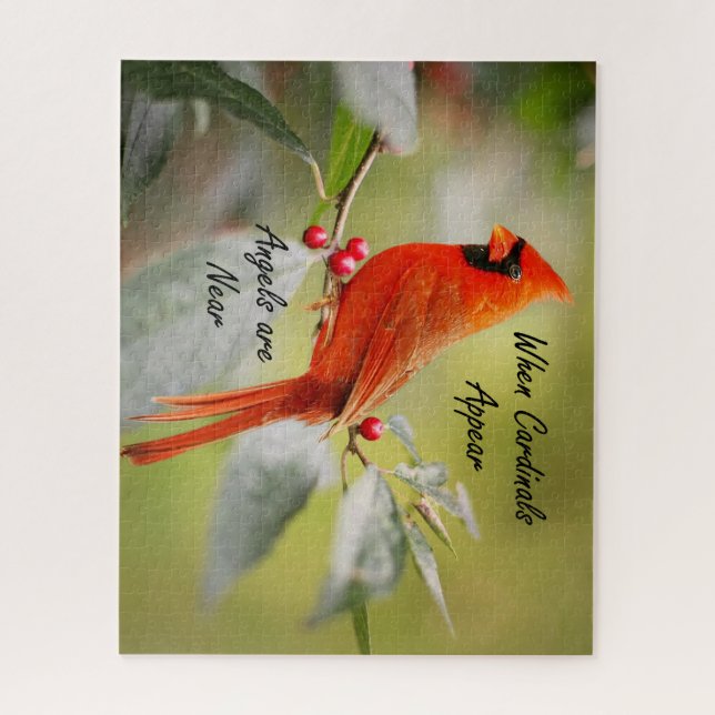 Wenn Kardinäle erscheinen, sind Engel in der Nähe (Vertikal)