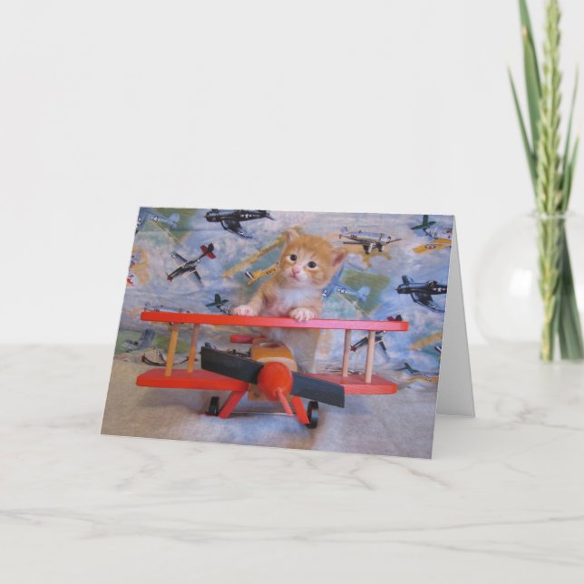 Wenn Kätzchen fliegen Karte (Vorderseite)
