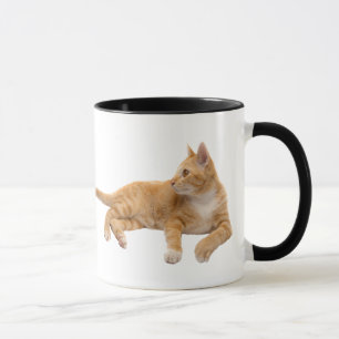 Wenn Katzen dir zurücktexten könnten... Tasse
