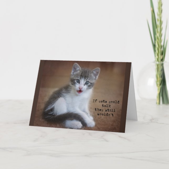 Wenn Katzen reden könnten, notecard Ankündigung (Vorderseite)