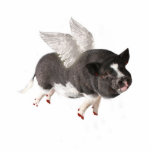 Wenn Schweine fliegen Fotoskulptur Schlüsselanhänger<br><div class="desc">Fliegen-Schweine</div>