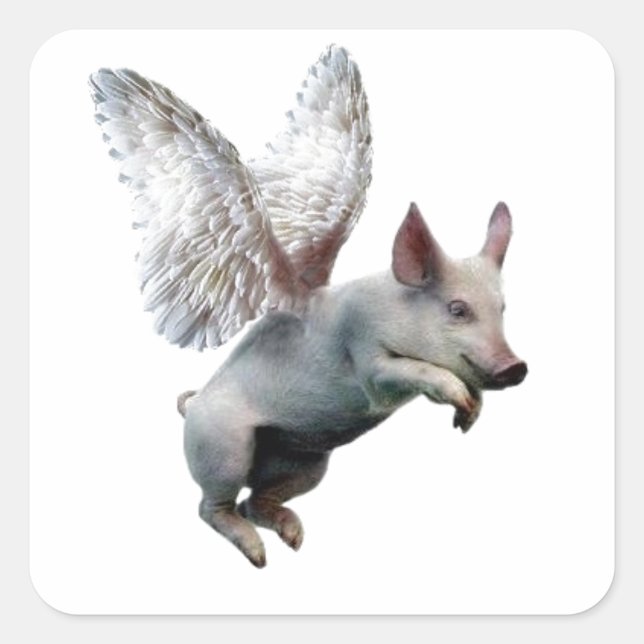 Wenn Schweine fliegen Quadratischer Aufkleber (Vorderseite)