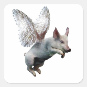 Wenn Schweine fliegen Quadratischer Aufkleber