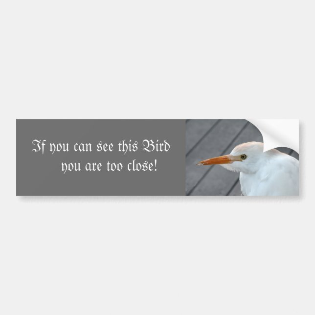 Wenn Sie diesen Vogel sehen können, sind Sie zu Na Autoaufkleber (Vorne)