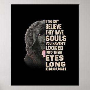 Wenn Sie nicht glauben, sie haben Soule Neufundlan Poster