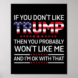 Wenn Sie Trump nicht mögen, dann mögen Sie wahrsch Poster