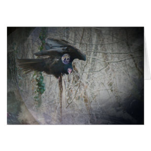 Wenn Vulture seine Flügel schließt