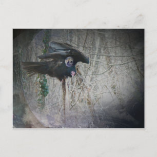 Wenn Vulture seine Flügel schließt Postkarte