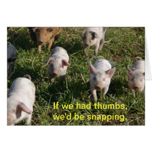 Wenn wir Daumen hatten