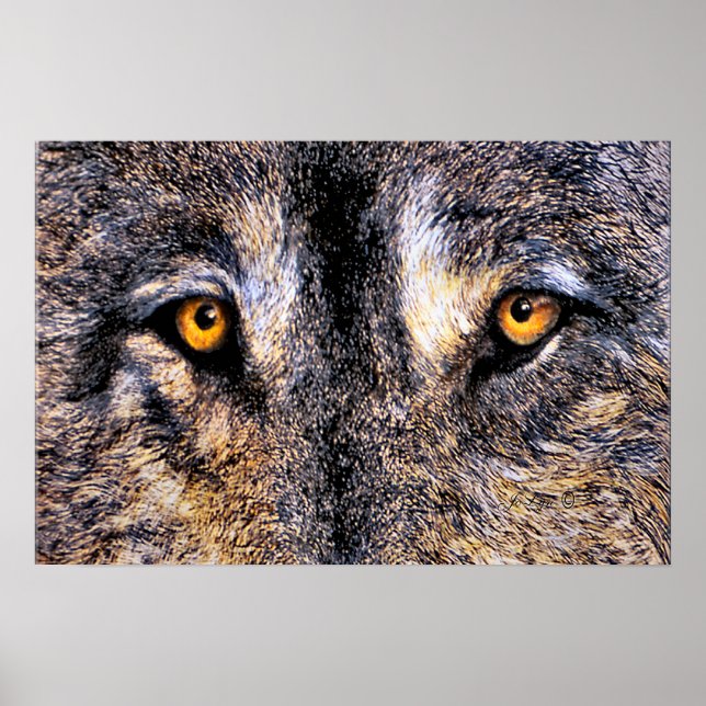 Wer beobachtet poster (Vorne)