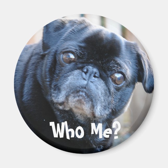 Wer bin ich? Magnet (Vorne)