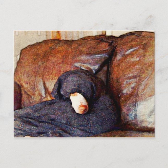 Wer bin ich? postkarte (Vorderseite)