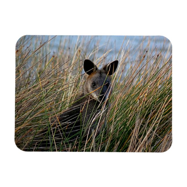 Wer bist du? magnet (Horizontal)