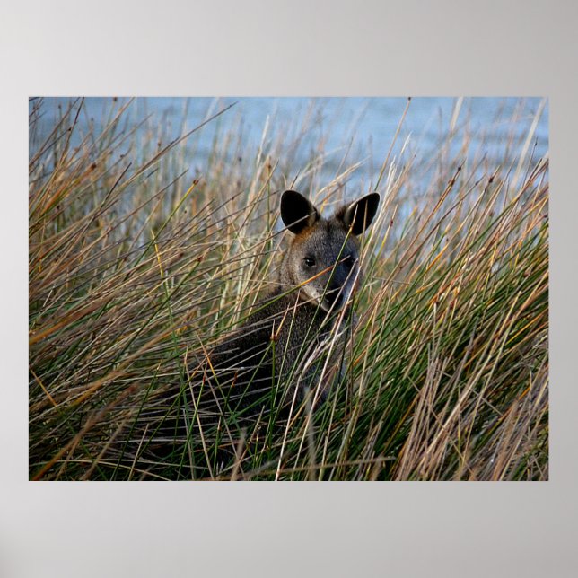 Wer bist du? poster (Vorne)