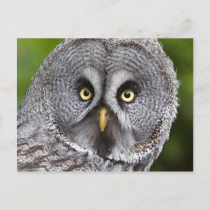Wer bist du? Postkarte