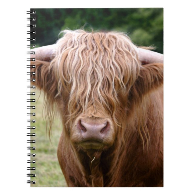 Wer das Lights Out-Notebook gedreht hat Notizblock (Vorderseite)