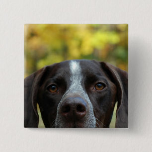 Wer Dat Hund? Button