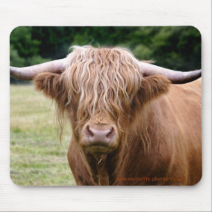 Wer die Lichter Mousemat ausfiel Mousepad