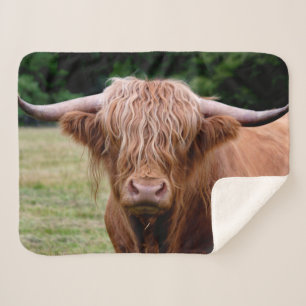 Wer die Lichter Sherpa Decke ausfiel Sherpadecke