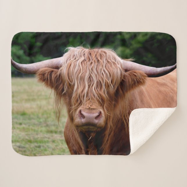 Wer die Lichter Sherpa Decke ausfiel Sherpadecke (Vorderseite (Horizontal))