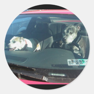 Wer hat die Hunde gelassen? Aufkleber