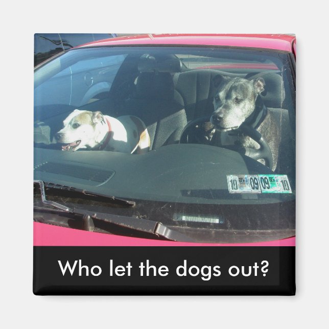 Wer hat die Hunde gelassen? Magnet (Vorne)