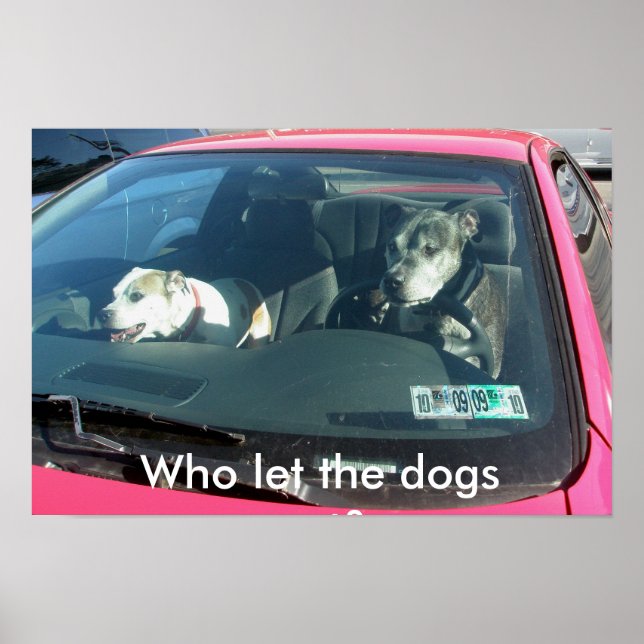 Wer hat die Hunde gelassen? Poster (Vorne)