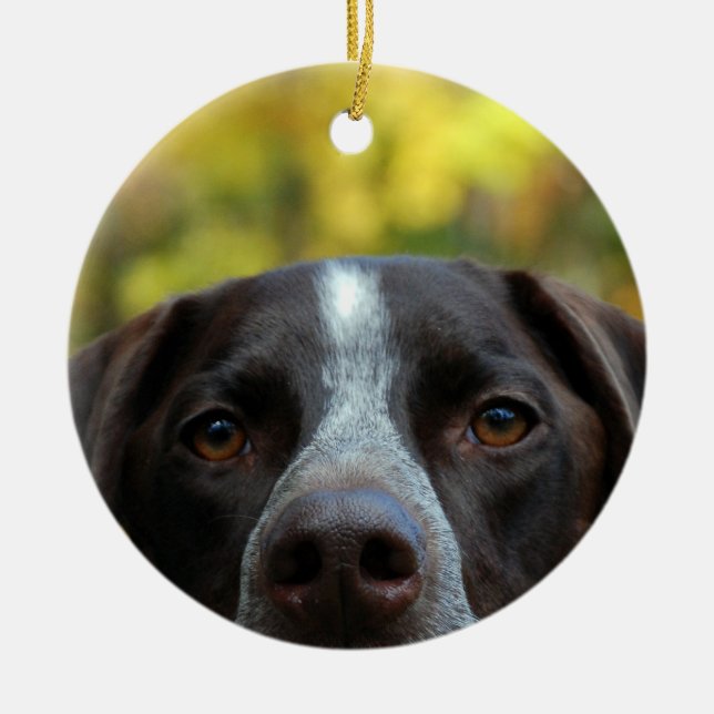 Wer hat Hund gestorben? Keramik Ornament (Vorne)