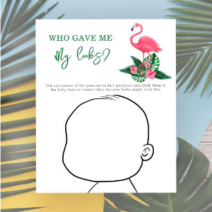 Wer hat mir mein Aussehen gegeben? - Rosa Flamingo