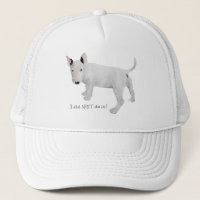 Wer, ich? Bull Terrier Puppy