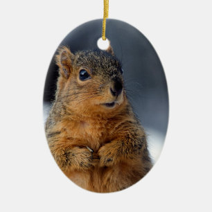 Wer ich Eichhörnchen Keramik Ornament