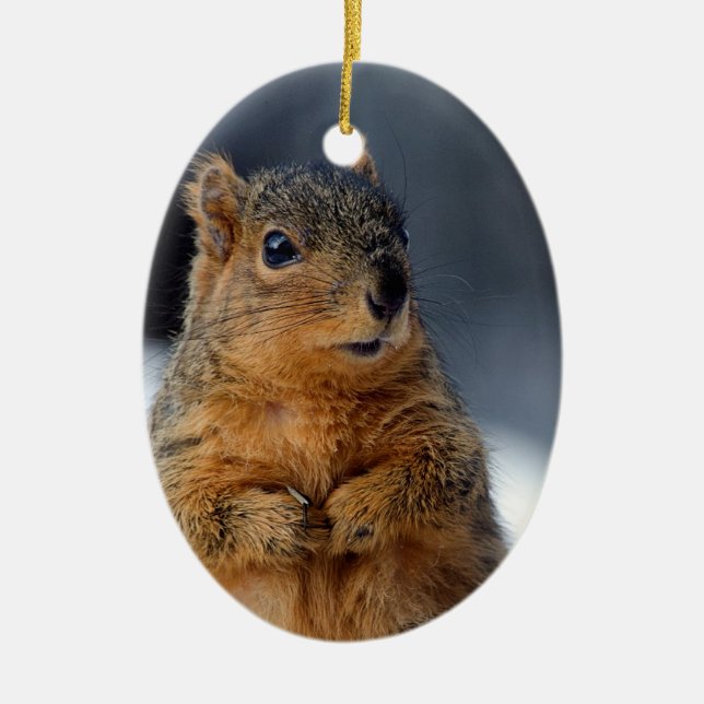 Wer ich Eichhörnchen Keramik Ornament (Vorne)