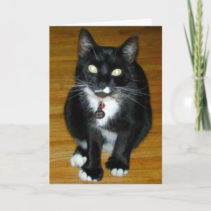 Wer ich? feiertagskarte